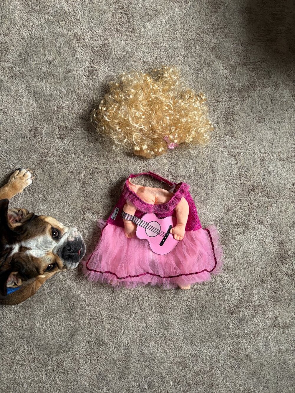 Doggy Dolly Parton Pink Dress Guitar & Wig Dog Halloween Costume Set M/L